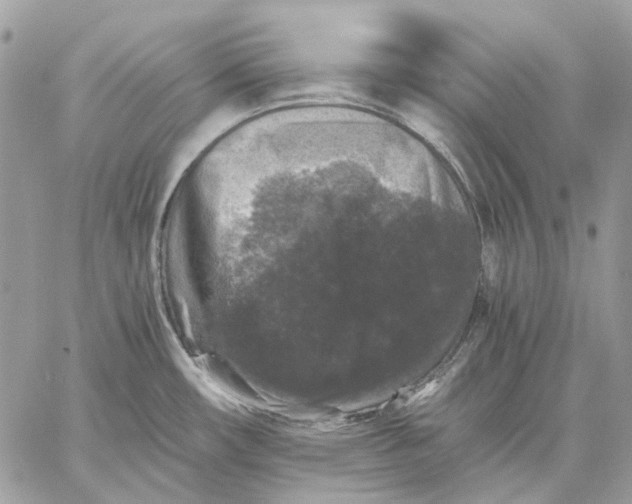 X0000058761482200510211645