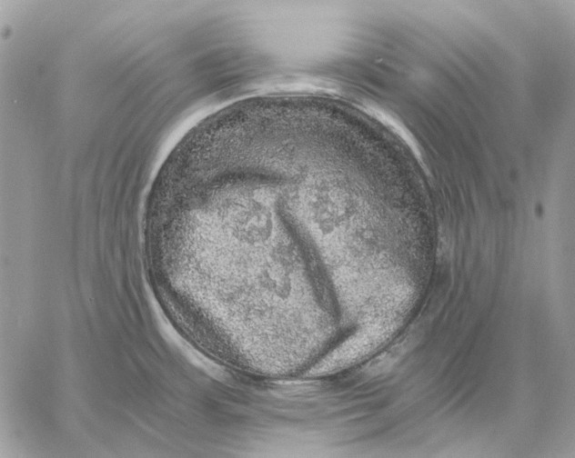 X0000058761483200510211645