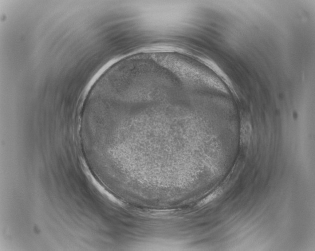 X0000058761484200510211645