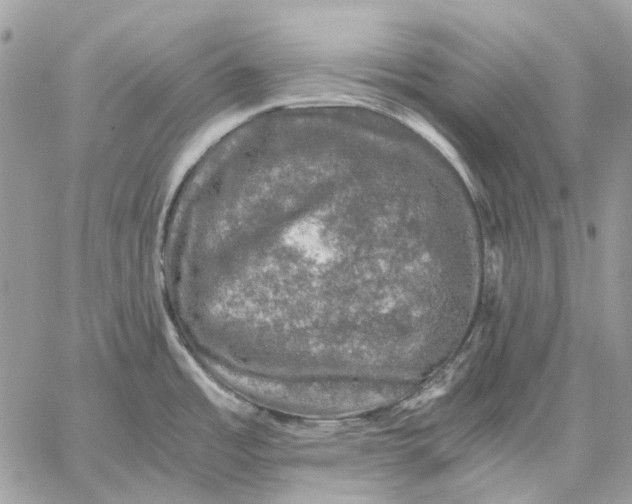 X0000058761485200510211645