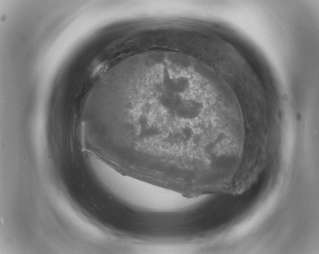 X0000058761487200510211645