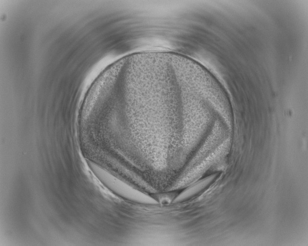 X0000058761488200510211645