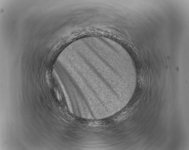 X0000058761490200510211644