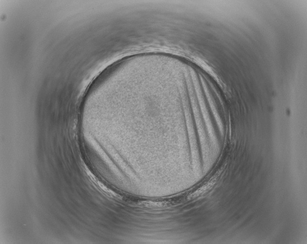 X0000058761500200510211644