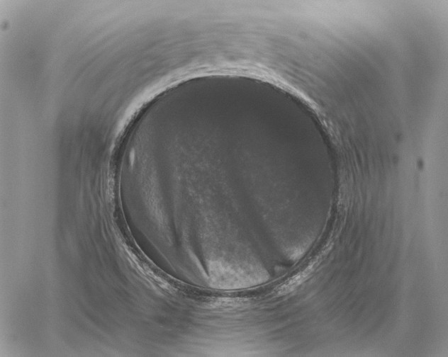 X0000058761506200510211644