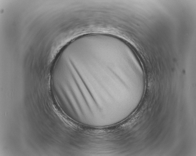 X0000058761507200510211644