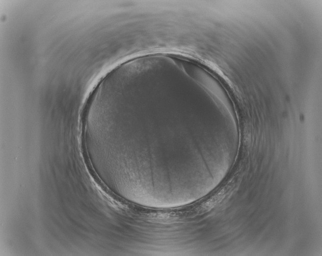 X0000058761508200510211644