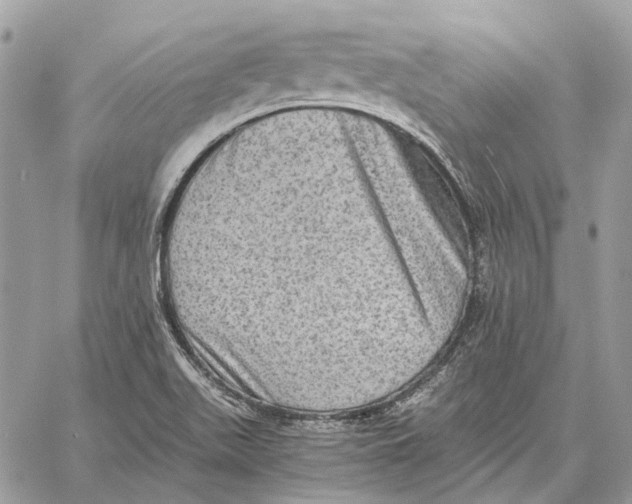 X0000058761511200510211644