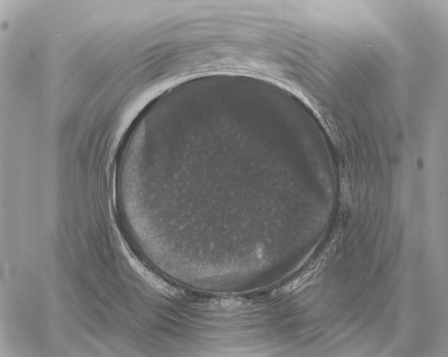 X0000058761515200510211645