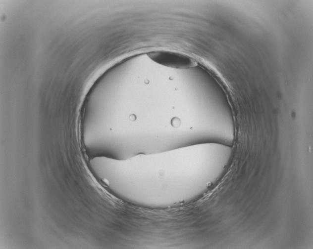 X0000058761516200510211645