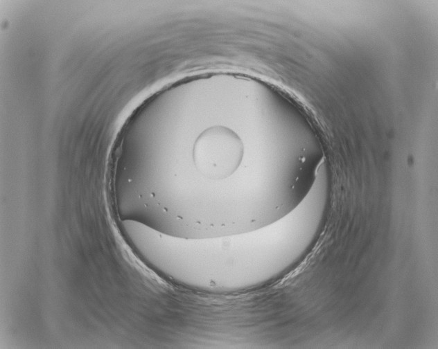 X0000058761518200510211645