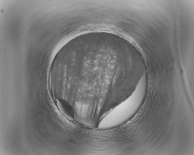 X0000058761520200510211645