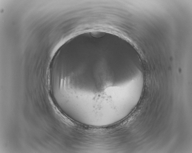 X0000058761522200510211645