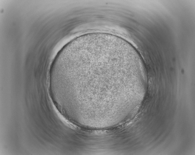 X0000058761523200510211645