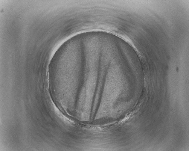 X0000058761524200510211645