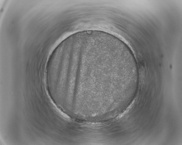 X0000058761525200510211645