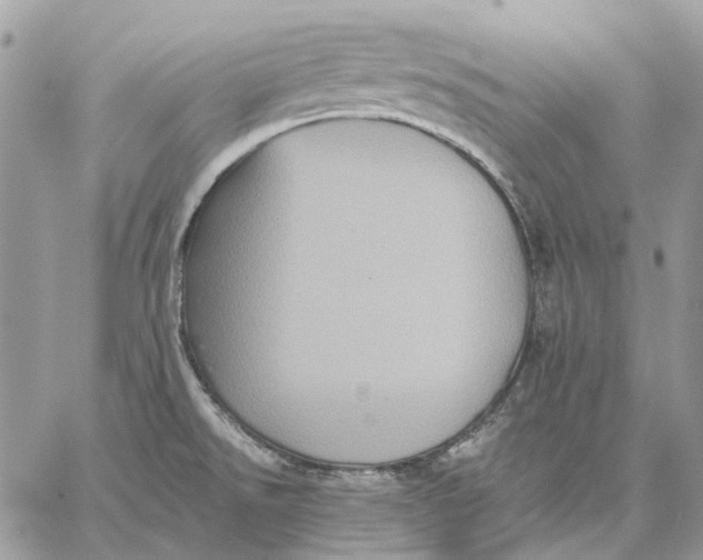 X0000058761526200510211645