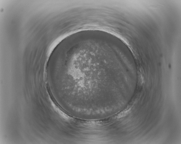 X0000058761527200510211645