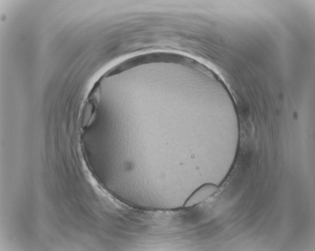 X0000058761534200510211645