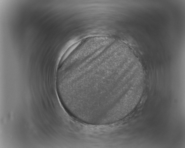 X0000058760003200510281930