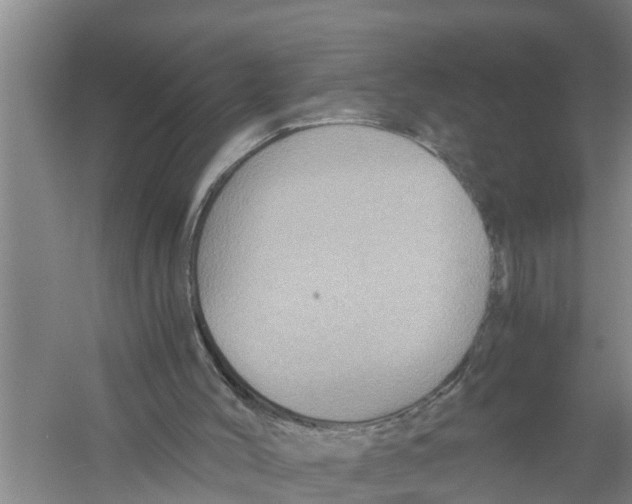 X0000058760004200510281930