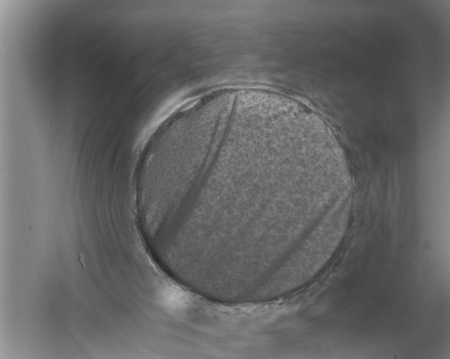 X0000058760005200510281930