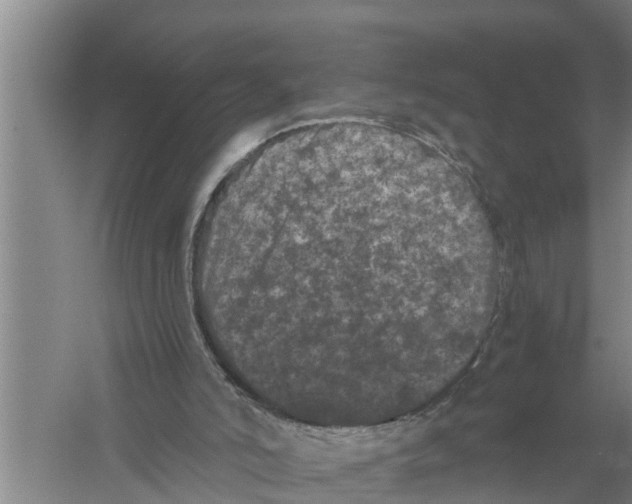 X0000058760006200510281930