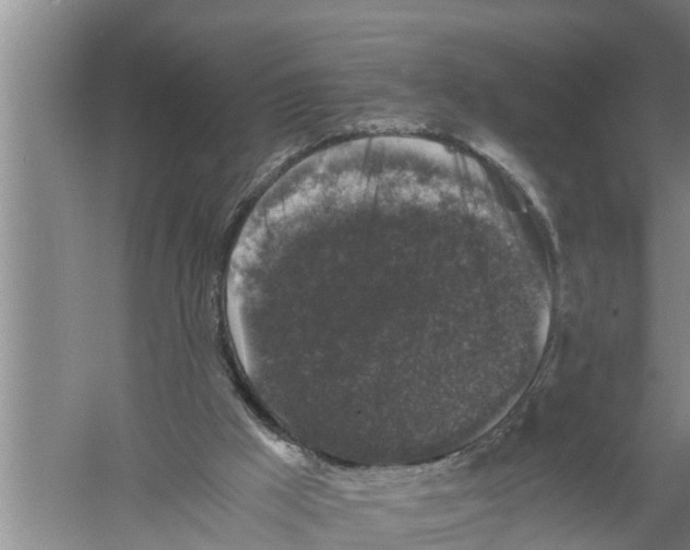 X0000058760009200510281930