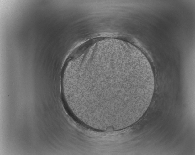 X0000058760011200510281930