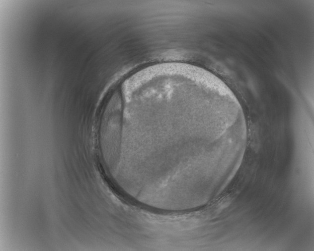 X0000058760012200510281930