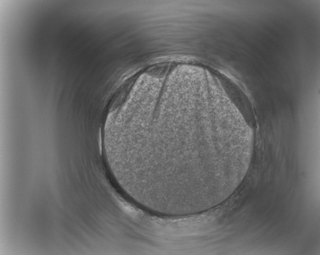 X0000058760013200510281930