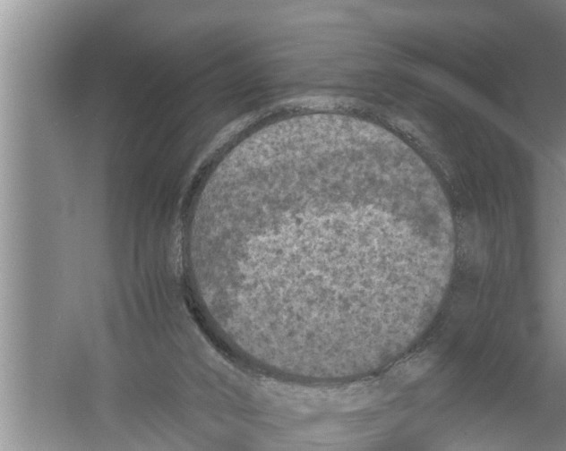 X0000058760016200510281930