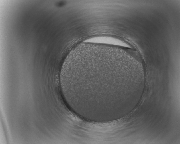 X0000058760017200510281930