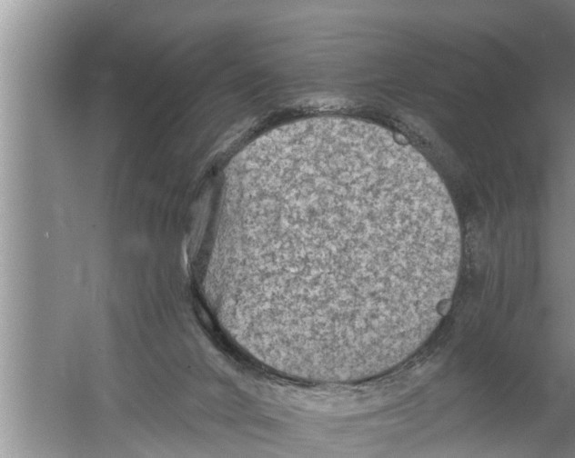 X0000058760024200510281930