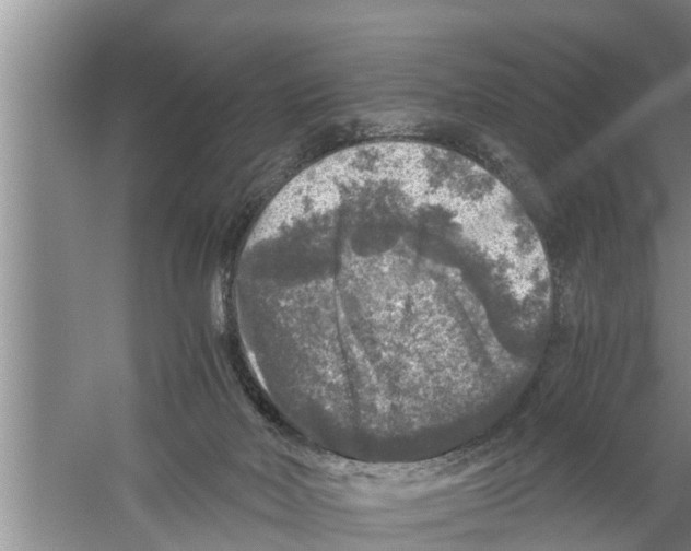 X0000058760026200510281930