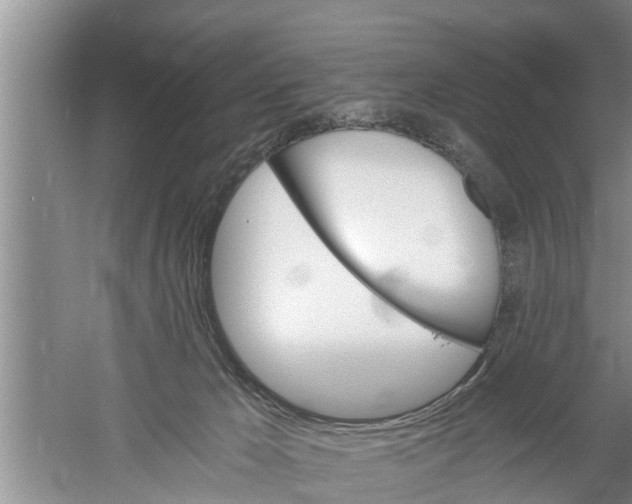 X0000058760029200510281930