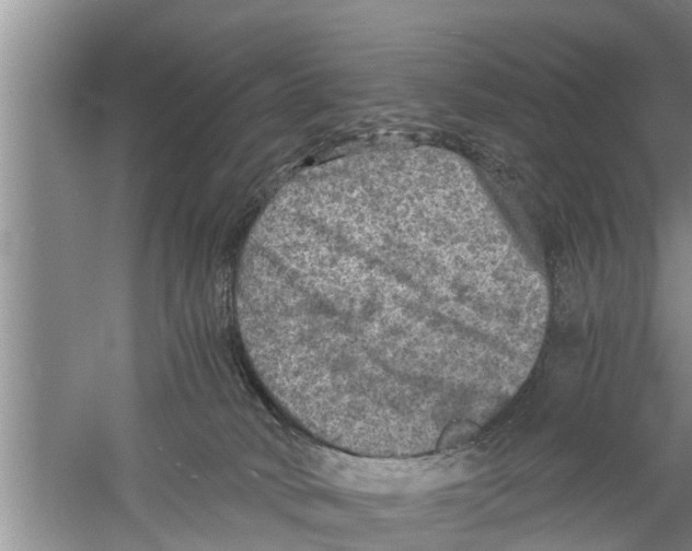 X0000058760034200510281930