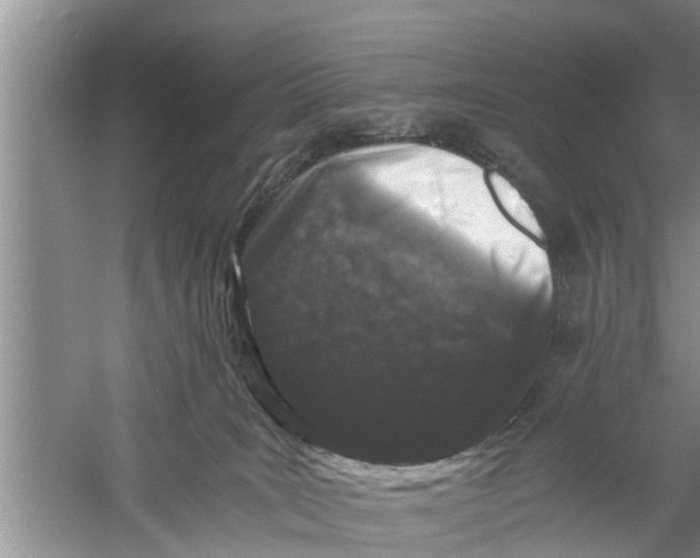 X0000058760035200510281930