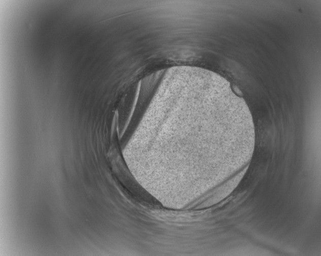 X0000058760040200510281929