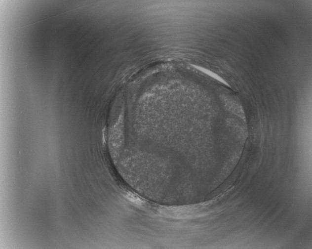 X0000058760041200510281929