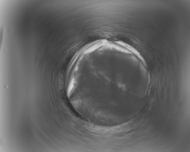 X0000058760043200510281929