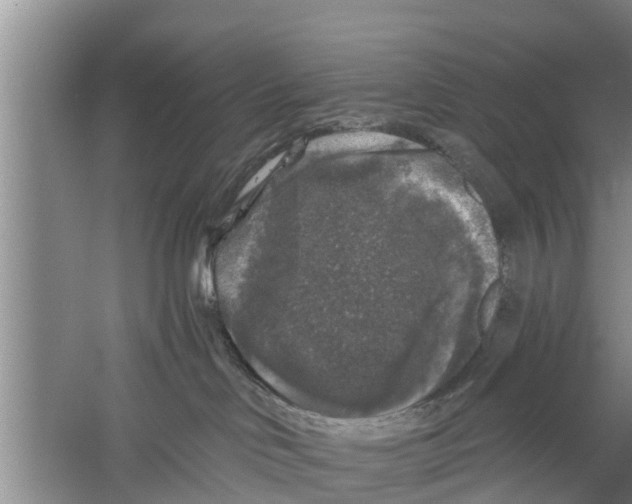 X0000058760046200510281929