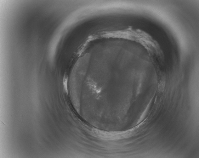 X0000058760047200510281929