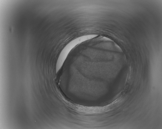 X0000058760048200510281929