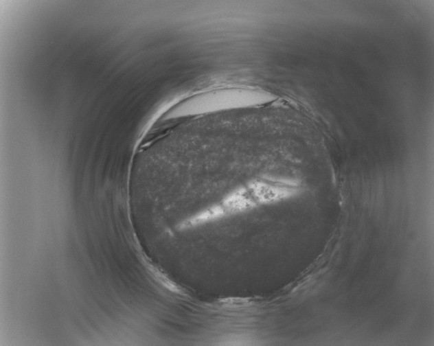 X0000058760052200510281929