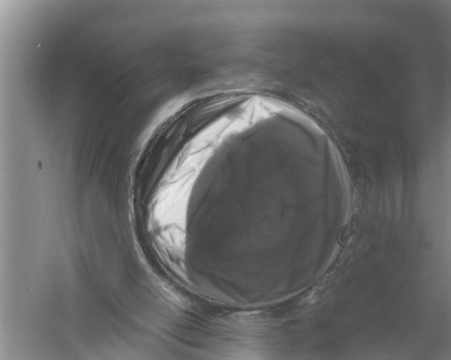 X0000058760054200510281929