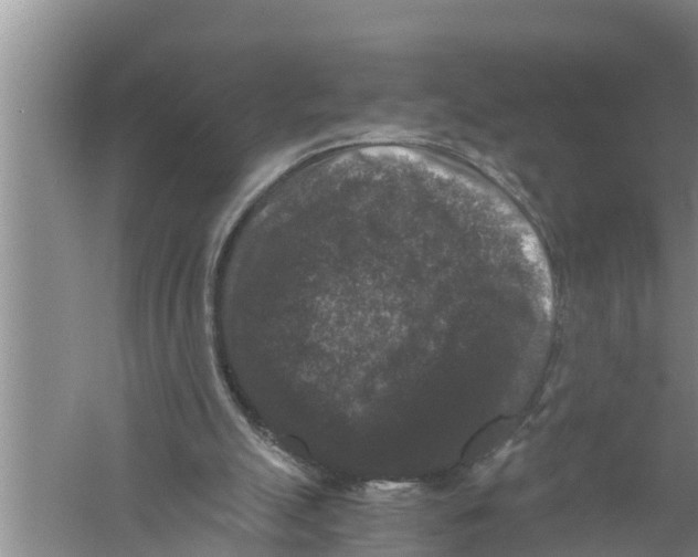 X0000058760055200510281929