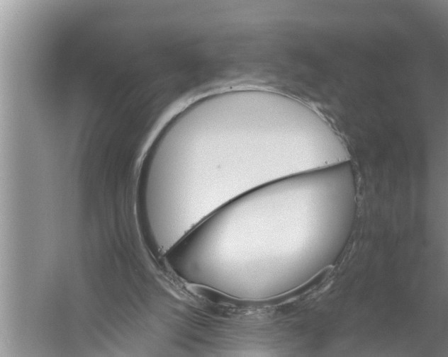 X0000058760056200510281929