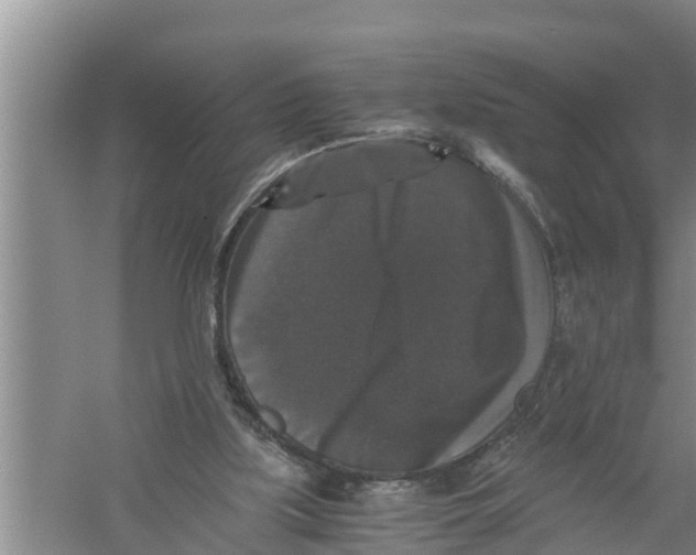 X0000058760059200510281929