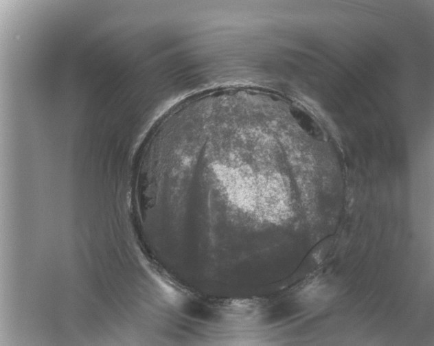 X0000058760060200510281929